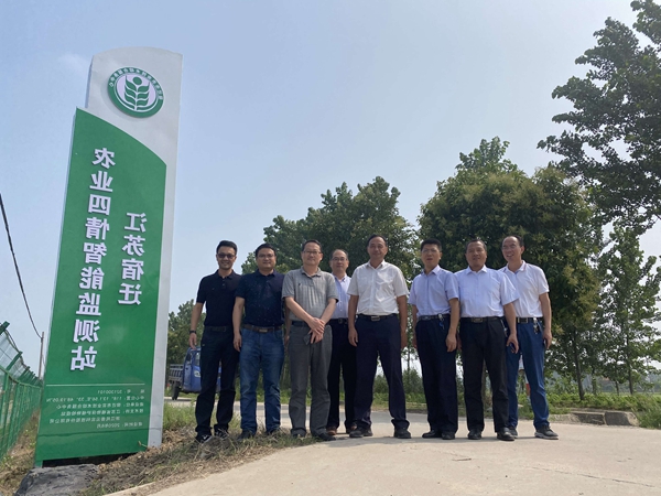 ��Ӱ����