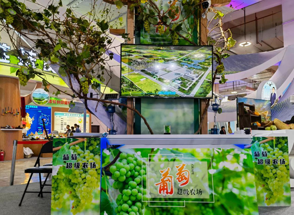 ����ũ��