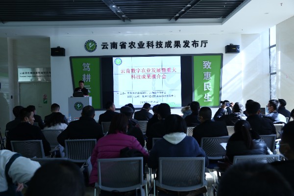 ÍÆ½é»áÏÖ³¡ ÍÆ½é»áÏÖ³¡