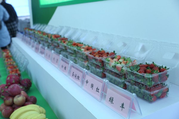 ÍÆ½é»áÏÖ³¡ ÍÆ½é»áÏÖ³¡