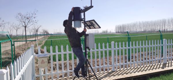 ֲ����������������Ѳ��Ч��