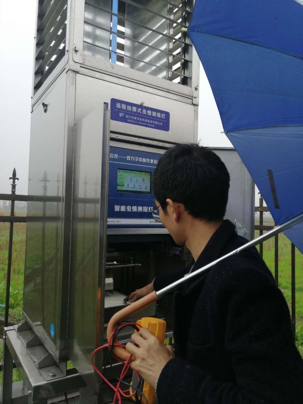 ֲ����������������Ѳ��Ч��