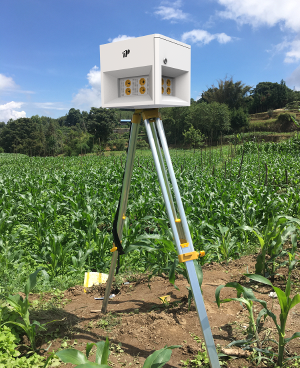 ����IT�ǻ����ղⱨϵͳ