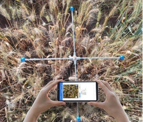 С��Ķ���������ֳ�