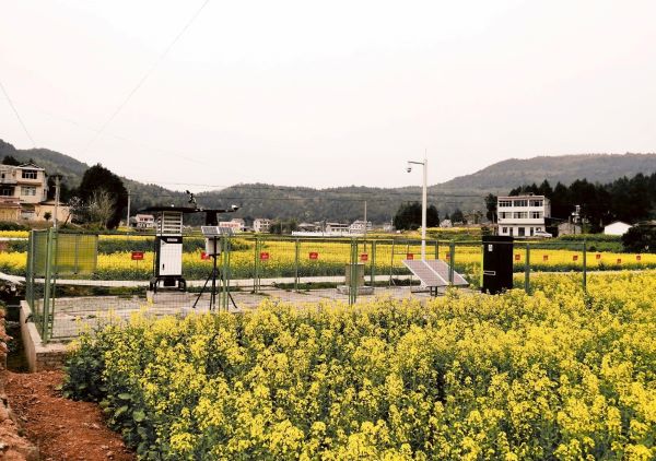 97���ʲ��溦����