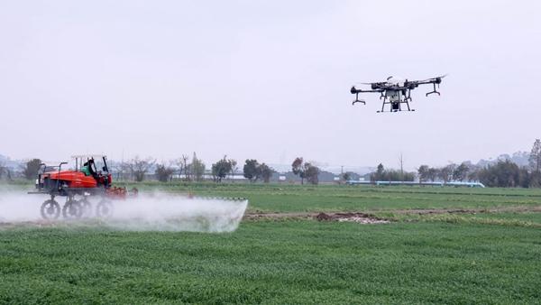 ������ݪֲ����ũҵ���Ե���Ŀ