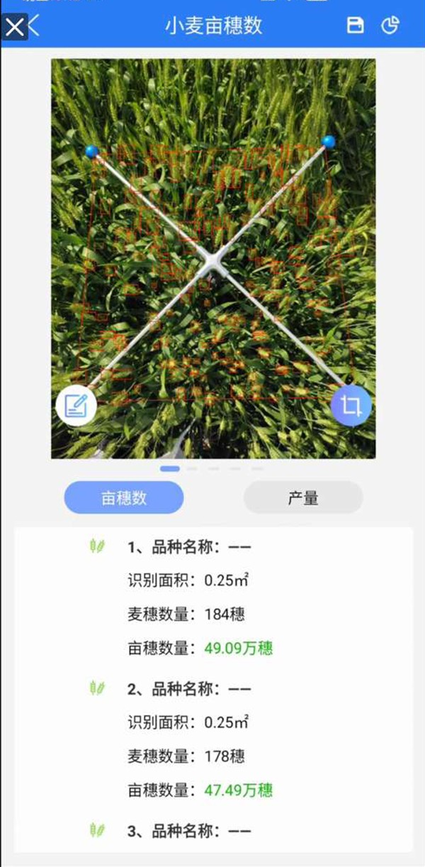 СÂóĶËëÊýÕÉÁ¿ÏµÍ³ СÂóĶËëÊýÕÉÁ¿ÏµÍ³