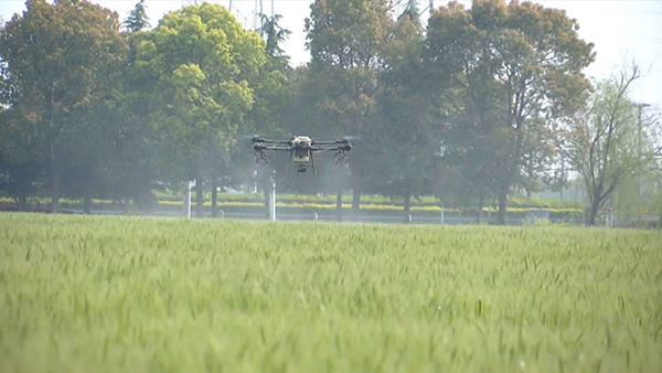 ¡°ÎÞÈËÅ©³¡¡±Ê÷Ä£»ùµØ ¡°ÎÞÈËÅ©³¡¡±Ê÷Ä£»ùµØ