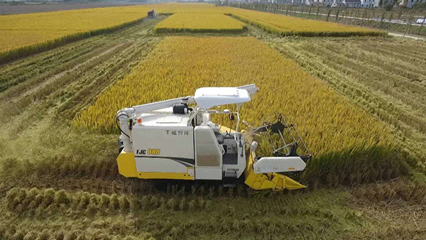 ¡°ÎÞÈËÅ©³¡¡±Ê÷Ä£»ùµØ ¡°ÎÞÈËÅ©³¡¡±Ê÷Ä£»ùµØ