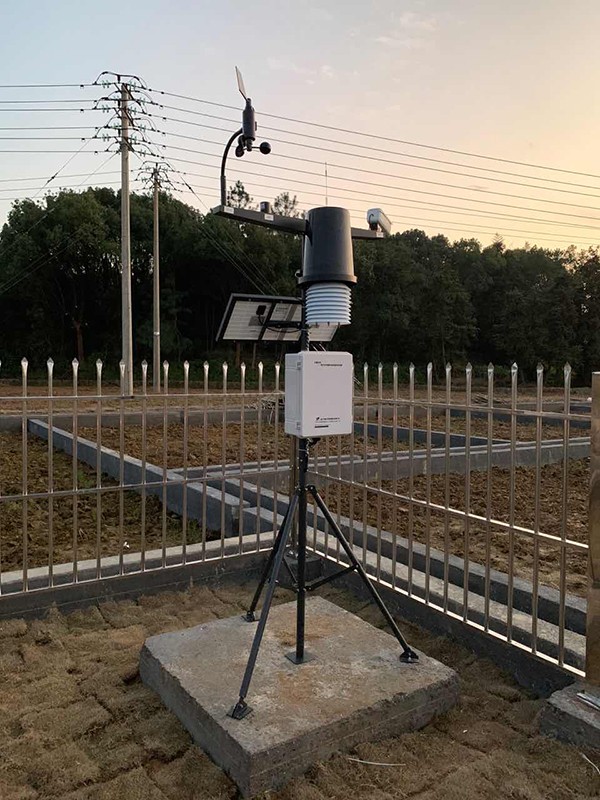 С�����Ӳ���