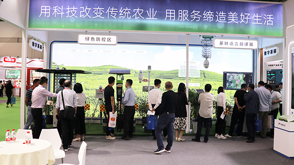 97���������й����ʲ�ҵչ����