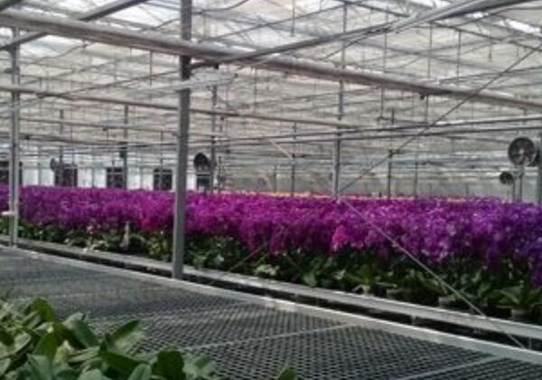 Éèʩũҵ Éèʩũҵ