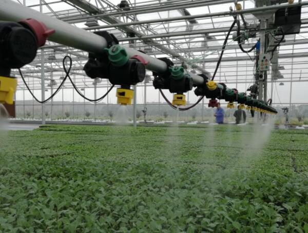 Éèʩũҵ Éèʩũҵ