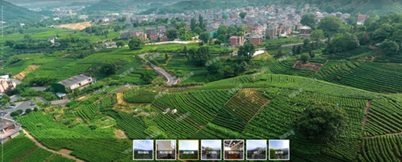 Öǻ۲èÔ° Öǻ۲èÔ°