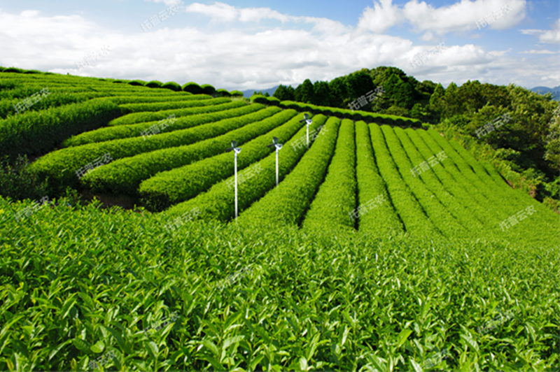 1641349683193328.png Öǻ۲èÔ°2.png