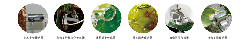 1641798474993674.jpg Ë®·ÊÒ»Ì廯װ±¸Ö²Îï±¾Ìå´«¸ÐÆ÷_¸±±¾_¸±±¾.jpg