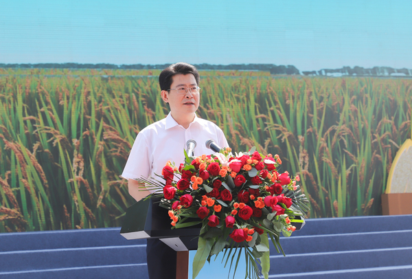 Ƽ����ί����ǡ��г���˸�´�