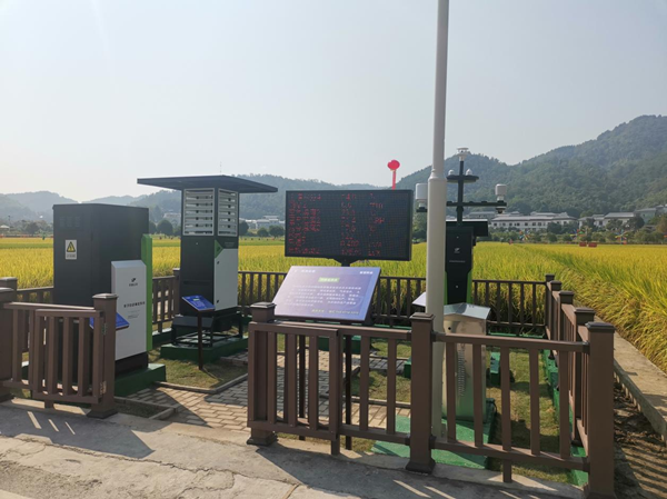 97����ũ���ﲡ�溦����