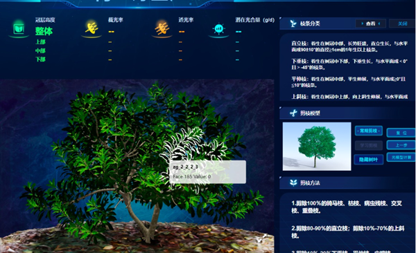 ���ơ����ֿ���÷��������������ũ����������÷