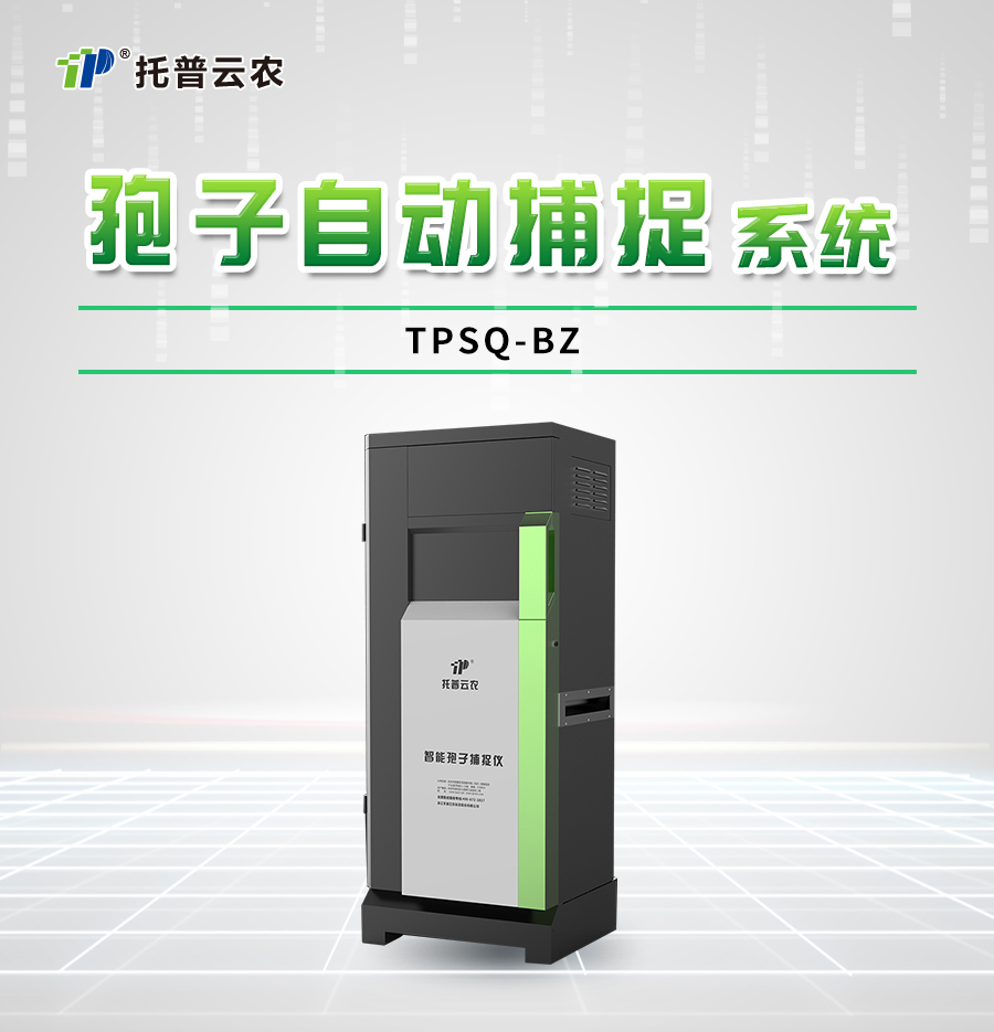 �������Ӳ�����