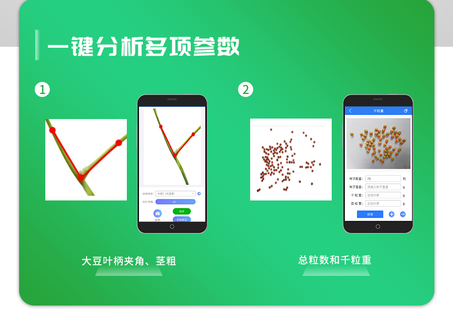 ´ó¶¹±íÐͼì²âÒÇ ´ó¶¹±íÐͼì²âÒÇ