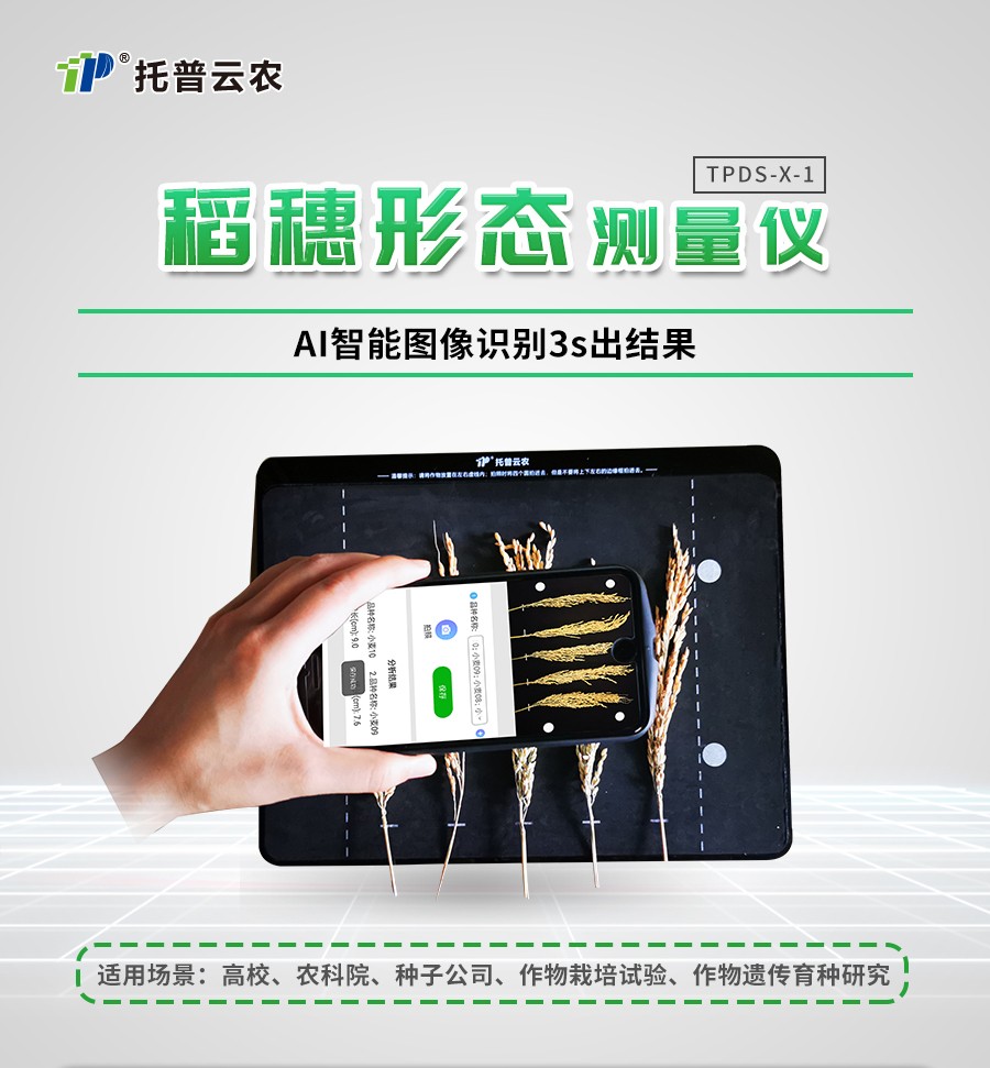 ������̬������