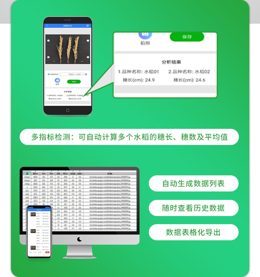 ������̬������