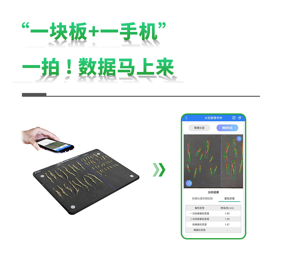 Ë®µ¾ÕûË뿼ÖÖÕÉÁ¿ÏµÍ³ Ë®µ¾ÕûË뿼ÖÖÕÉÁ¿ÏµÍ³