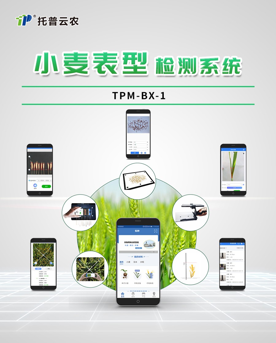 СÂó±íÐͼì²âÒÇ Ð¡Âó±íÐͼì²âÒÇ