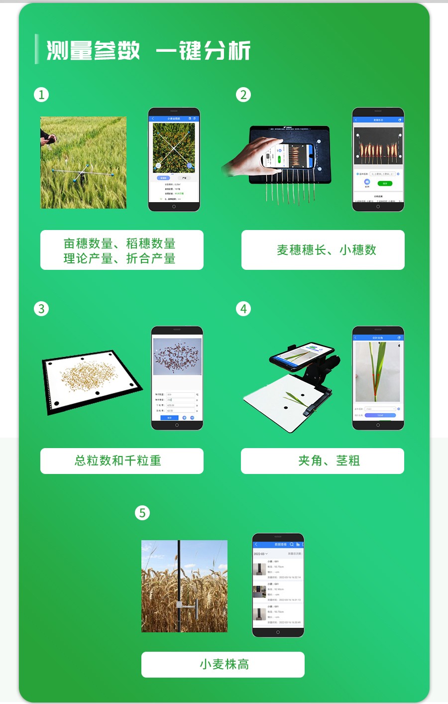 СÂó±íÐͼì²âÒÇ Ð¡Âó±íÐͼì²âÒÇ