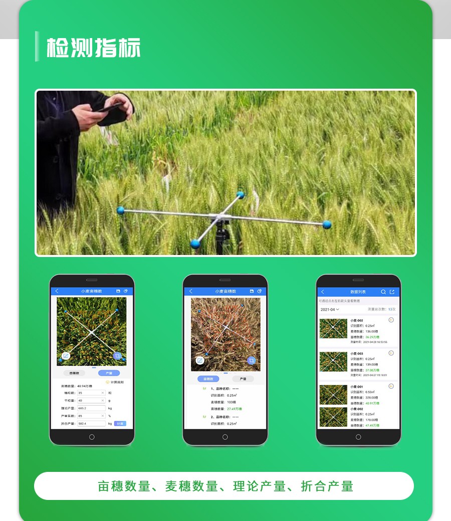 СÂóĶËëÊýÕÉÁ¿ÒÇ Ð¡ÂóĶËëÊýÕÉÁ¿ÒÇ