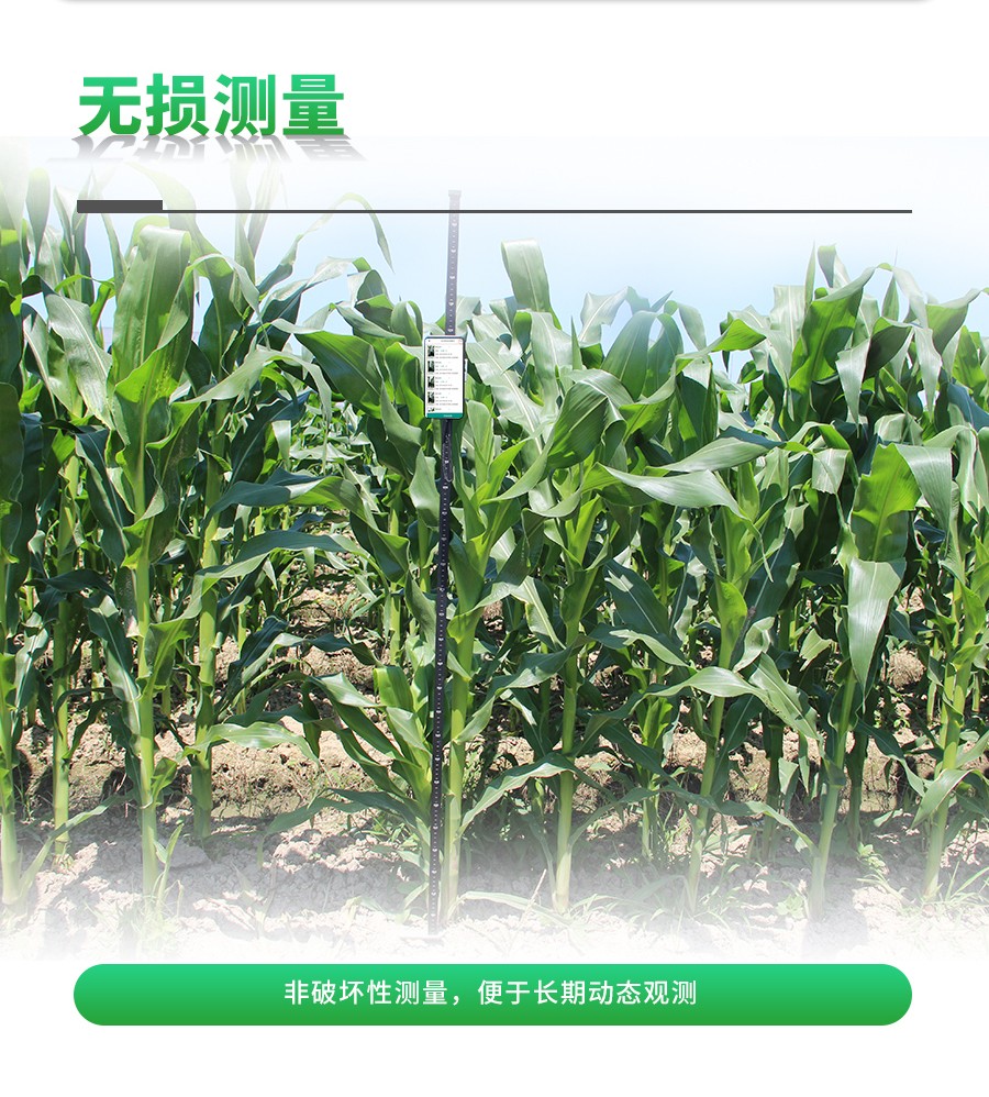 ÓñÃ×ÖêÐÍÆÊÎöϵͳ ÓñÃ×ÖêÐÍÆÊÎöϵͳ