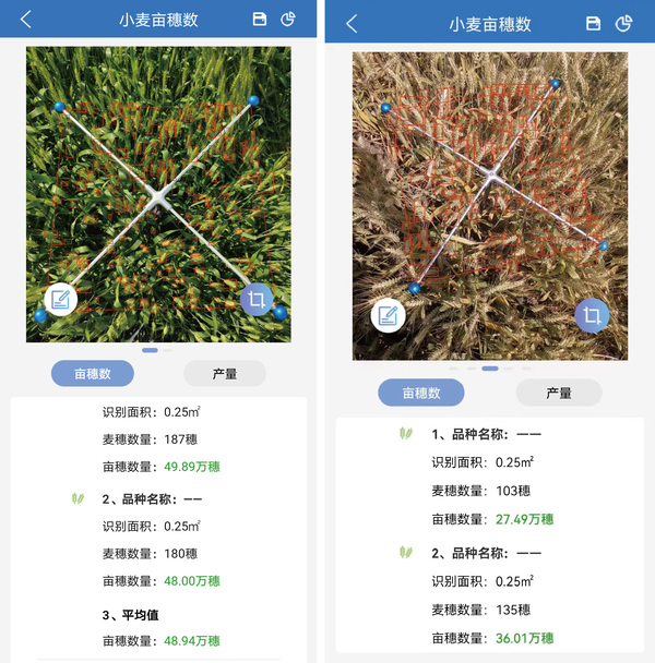 1678346462608228.jpg 4.jpg