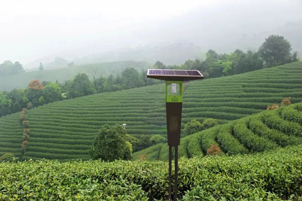 1678859576653657.jpg 4_¸±±¾.jpg