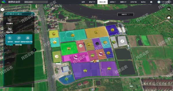 1685952018259119.jpg 15.jpg