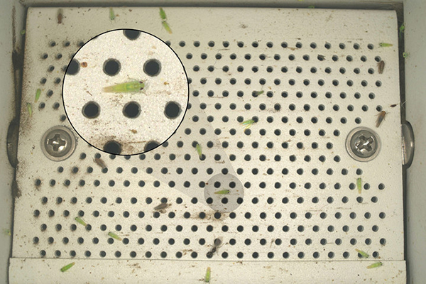 1695197149690176.jpg SEOÓÃͼ3.jpg