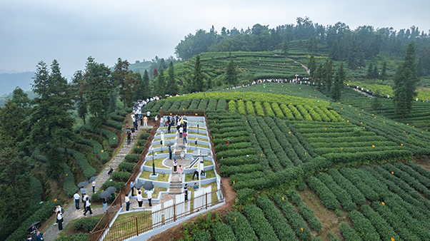 1695197184170701.jpg SEOÓÃͼ4.jpg