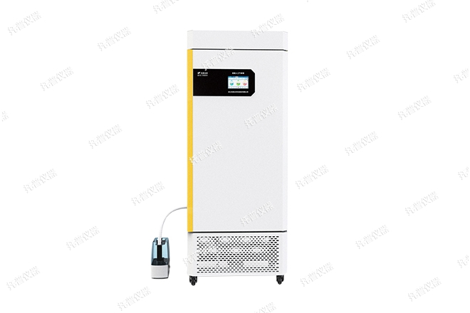 ��ǿ�˹�����������