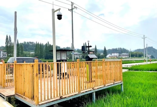 1711776817836807.jpg ÁÙ°²Ì«ÑôÕòÊý×Ö»¯¸ß±ê׼ũÌïʵ¾°Í¼.jpg