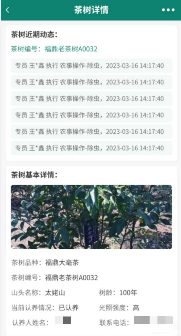 1716886384122121.png 8ÈÏÑø²èÊ÷_¸±±¾.png