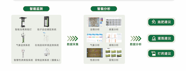 1717403291144892.jpg 8.jpg