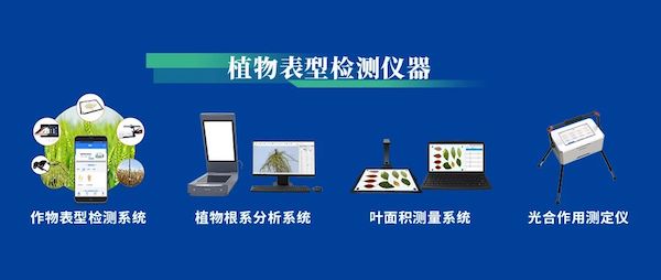 1729502889550187.jpeg 6.jpeg