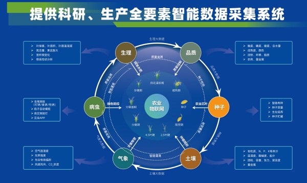 1732771412651112.jpg ͼ5.jpg