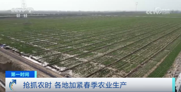 1740130054185463.png 1_¸±±¾.png