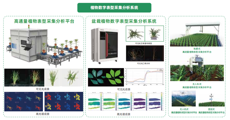 1743227794389859.png ͼƬ25.png