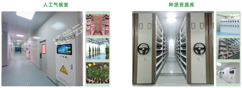 1743227808946351.png ͼƬ26.png