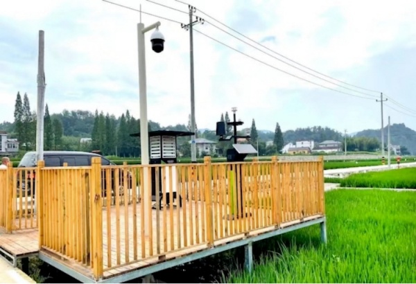 1744101741353380.jpg 5_¸±±¾.jpg