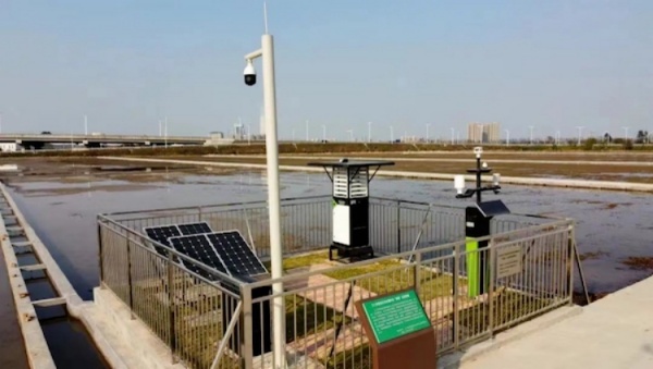 1744101879443267.jpg 10_¸±±¾.jpg