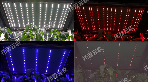 1744708253224731.png ͼƬ2.png