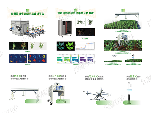 1748591477299462.png ͼƬ1.png